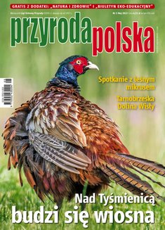Przyroda polska 5 2022