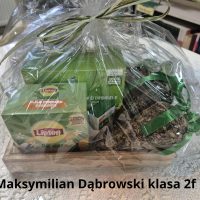 Maksymilian Dąbrowski klasa 2f Maksymilian Dąbrowski klasa 2f